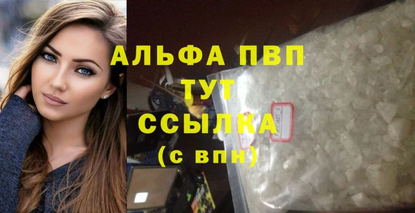 СК Бронницы