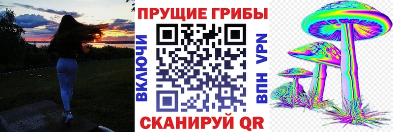 Галлюциногенные грибы Cubensis  Купить где  Петровск-Забайкальский 